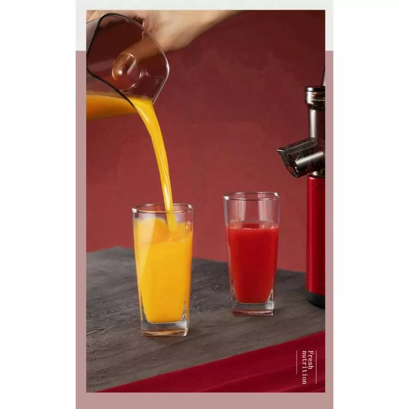 SOKANY JE-25 300W Slow Juicer Fruit - Gerobok Cantik WANA