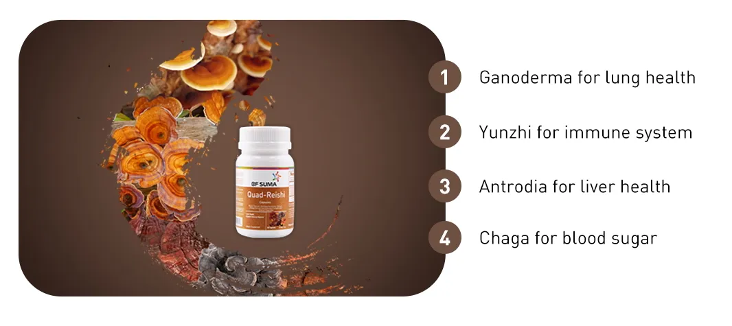 BF Suma Quad Reishi Capsules 60/Bottle, Reduce Itching/Itchy Skin, Prevents Diabetes, Improves Alertness & Energy Level, AP153A